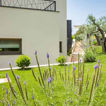 Luxury One Way * Banjole