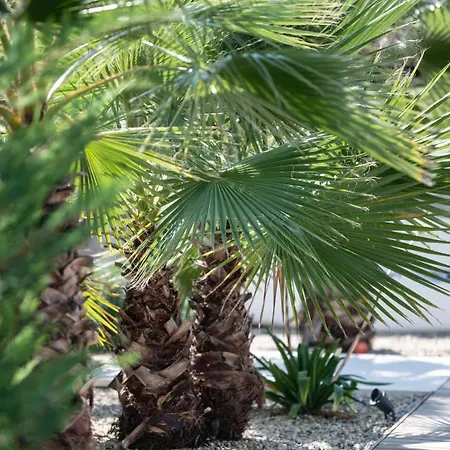 빌라 Luxury One Way 반졸레