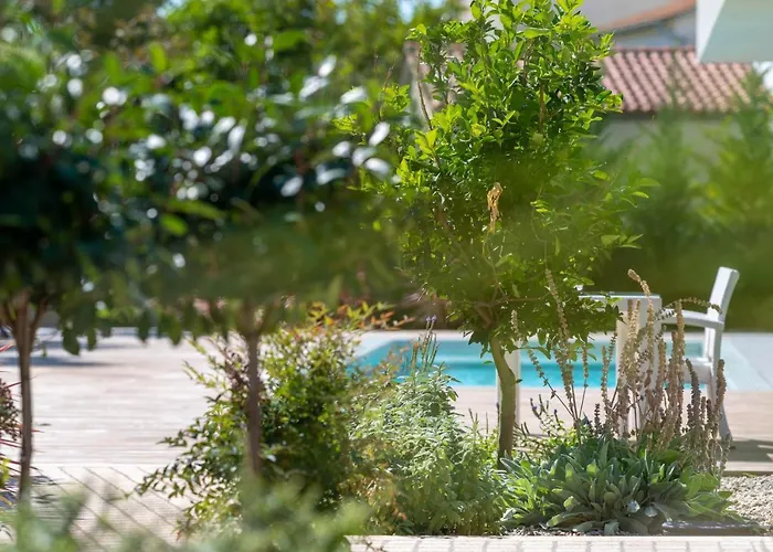 Vila Luxury One Way *