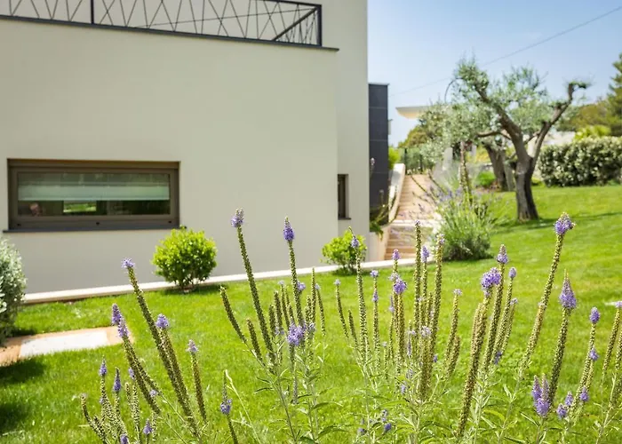 Luxury One Way * Banjole