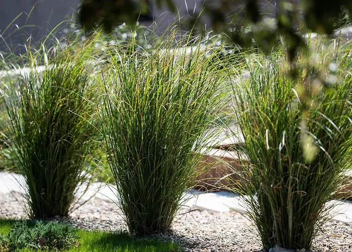 Luxury One Way Vila *