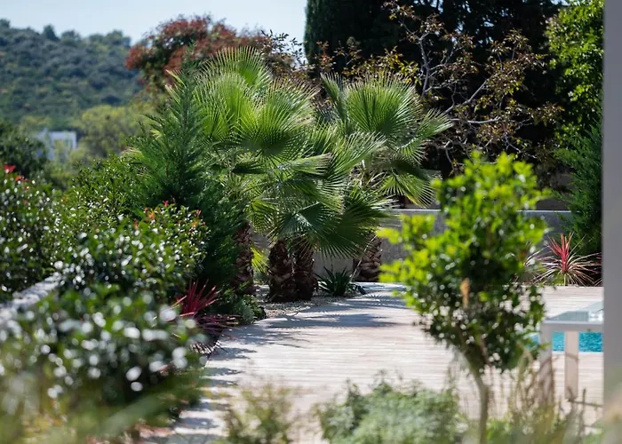 Luxury One Way Vila Banjole