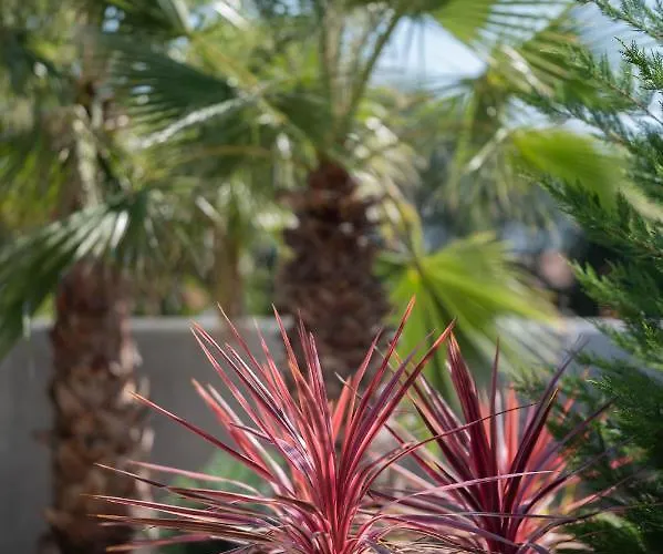 Luxury One Way Vila Banjole