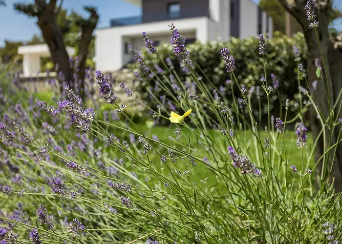 Luxury One Way Vila *