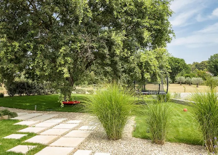 Luxury One Way Banjole